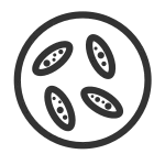 Malaria Mixed Microscope SVG Icon